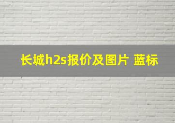 长城h2s报价及图片 蓝标